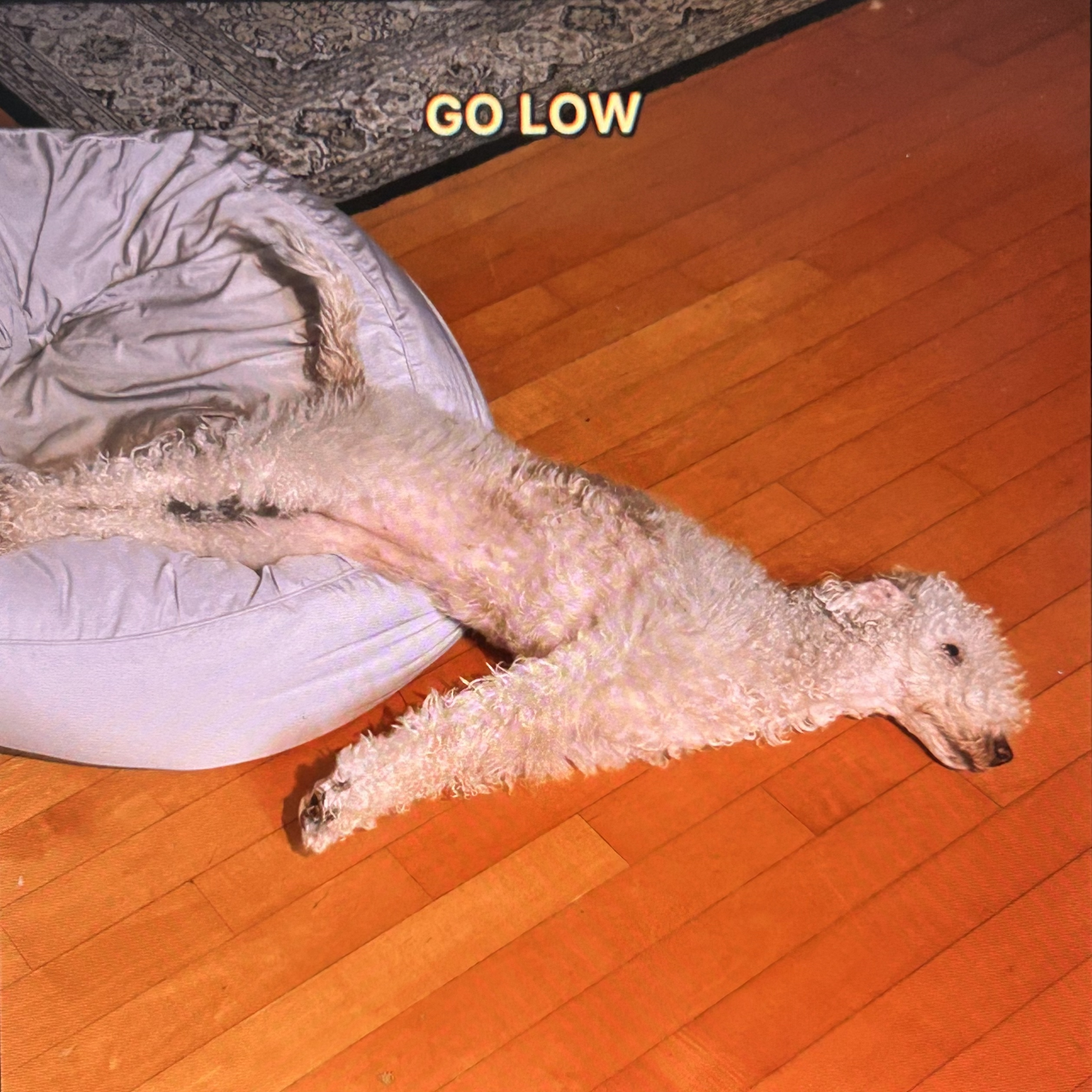 Image Cover